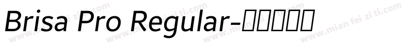 Brisa Pro Regular字体转换